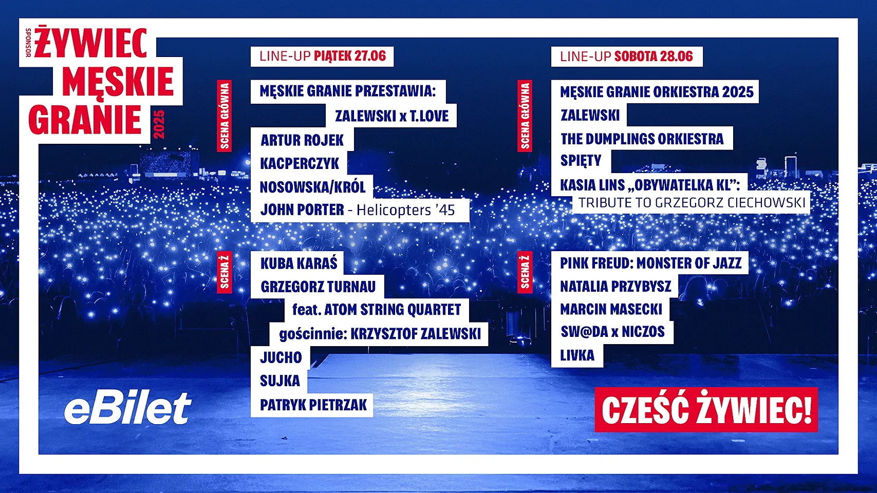 Męskie Granie 2025 - galeria: zdjęcie 2