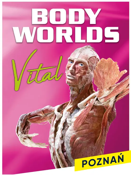 Body Worlds – Vital - Poznań