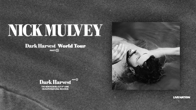 Nick Mulvey