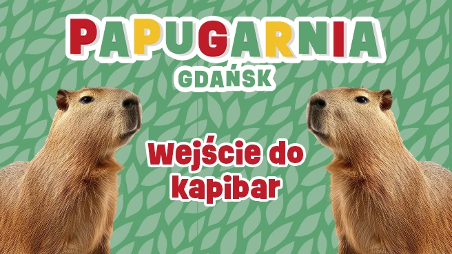 Wejście do kapibar - Papugarnia Gdańsk