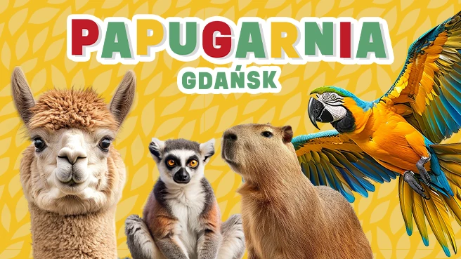 Papugarnia w Gdańsku
