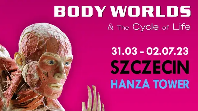 BODY WORLDS Szczecin