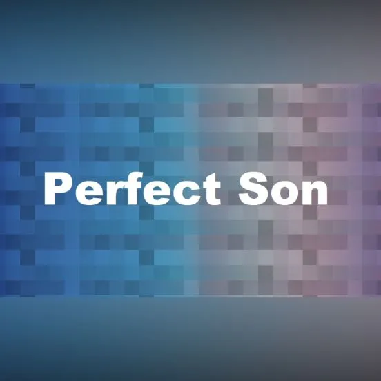 Perfect Son