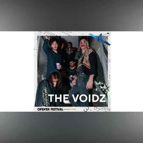 The Voidz