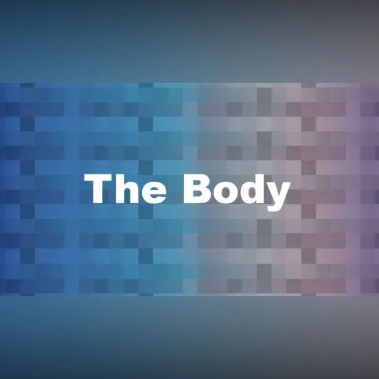 The Body 