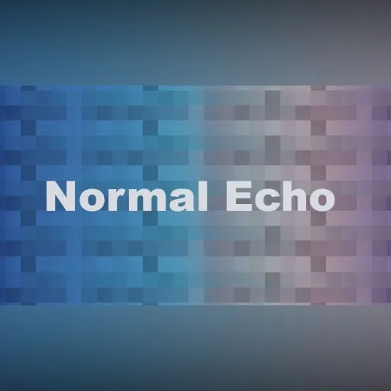 Normal Echo