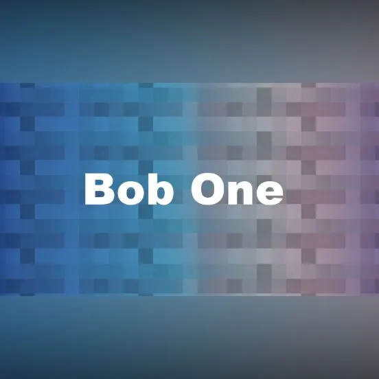 Bob One