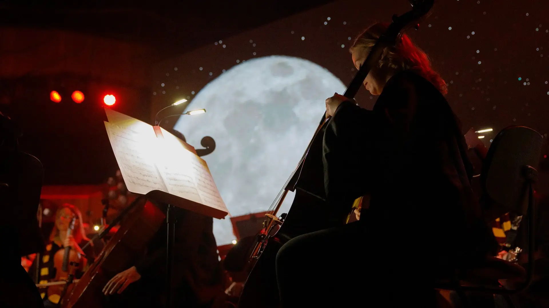 Koncert Muzyka Filmowa Harry Potter Symfonicznie orchestral tribute - galeria: zdjęcie 4