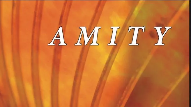 Koncert promocyjny płyty pod tytułem AMITY