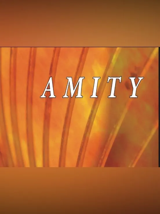 Koncert promocyjny płyty pod tytułem AMITY