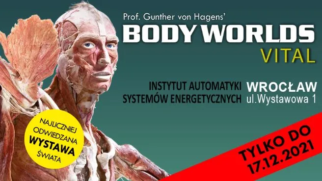 Wystawa Body Worlds Wrocław