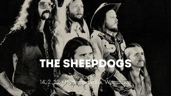 The Sheepdogs