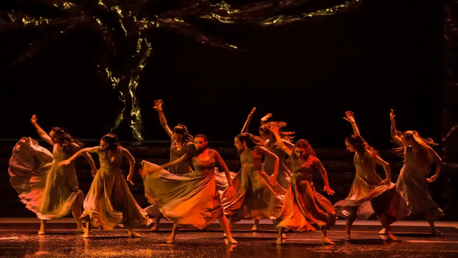 Grek Zorba - Sofia Opera Ballet - galeria: zdjęcie 7