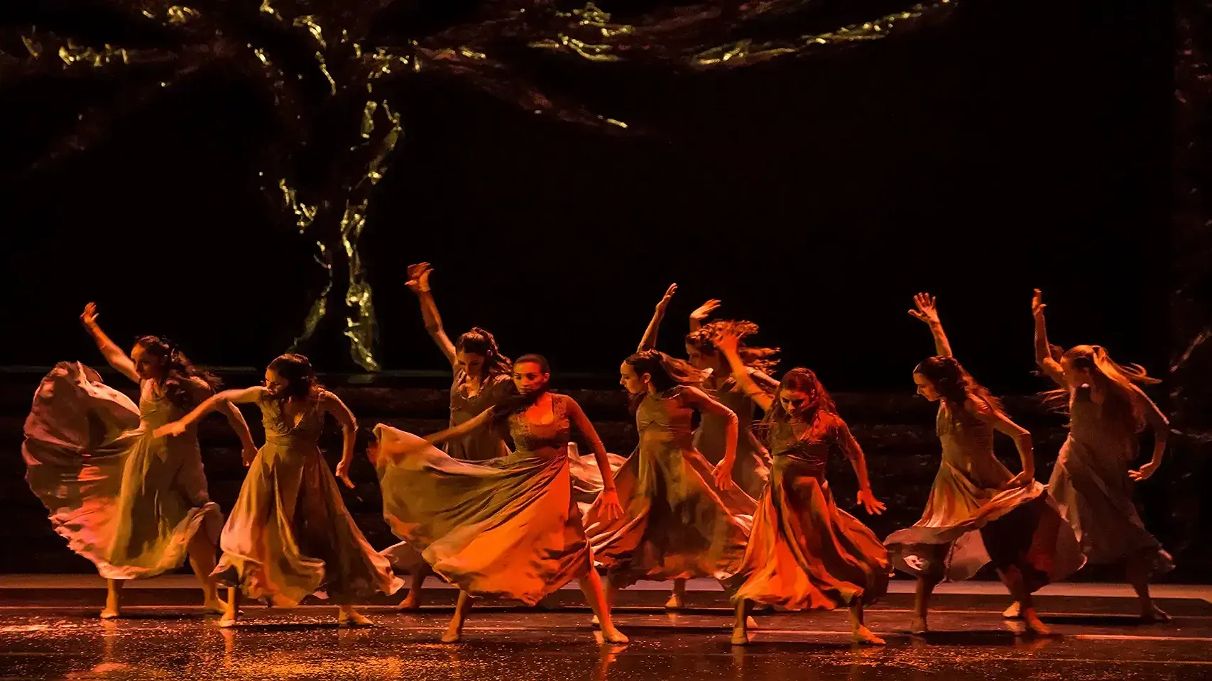 Grek Zorba - Sofia Opera Ballet - galeria: zdjęcie 7