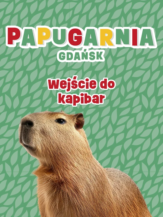 Papugarnia Gdańsk - Wejście do kapibar