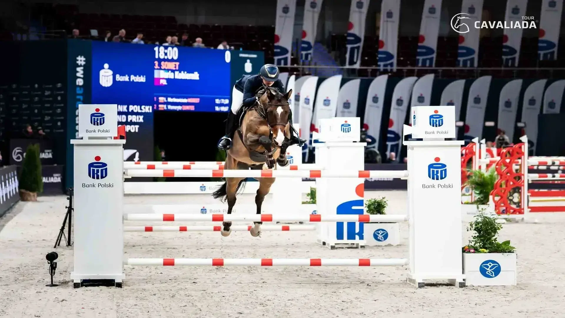CAVALIADA SOPOT 2024 - galeria: zdjęcie 1