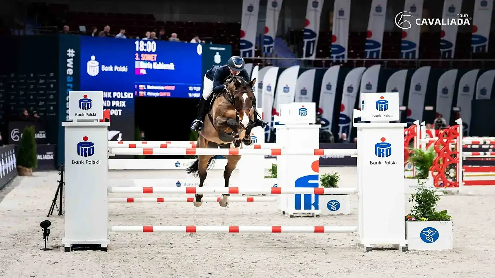 CAVALIADA SOPOT 2024 - galeria: zdjęcie 1