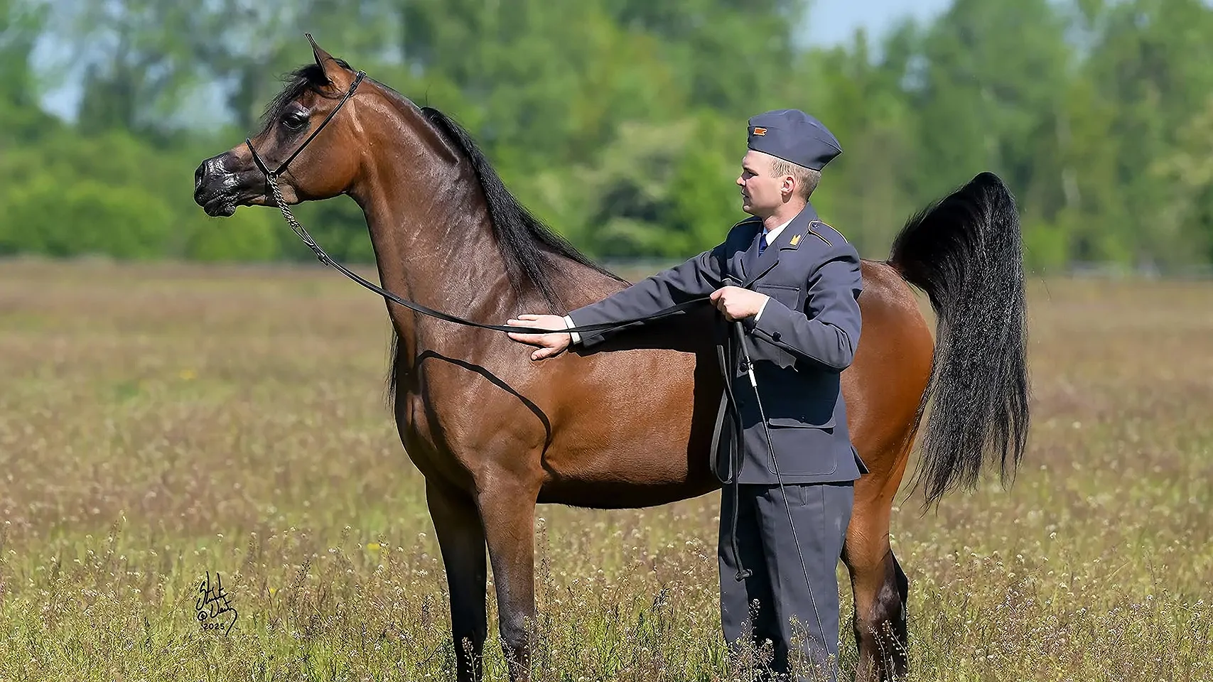 56. Aukcja Pride of Poland - galeria: zdjęcie 3