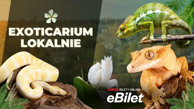 Exoticarium Lokalnie - Targi Terrarystyczne