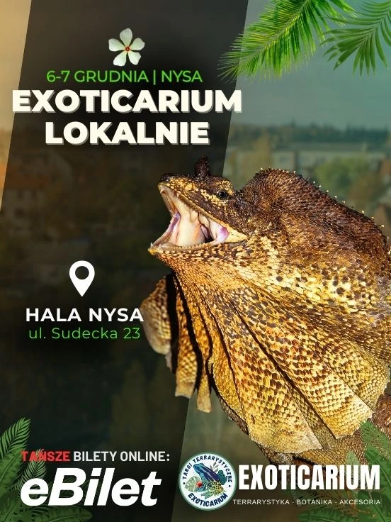 Plakat wydarzenia