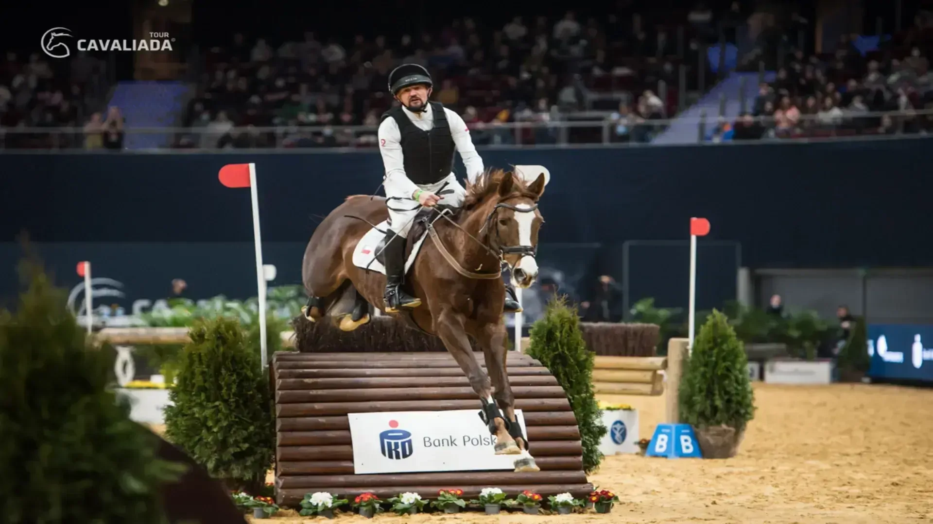 CAVALIADA SOPOT 2024 - galeria: zdjęcie 3