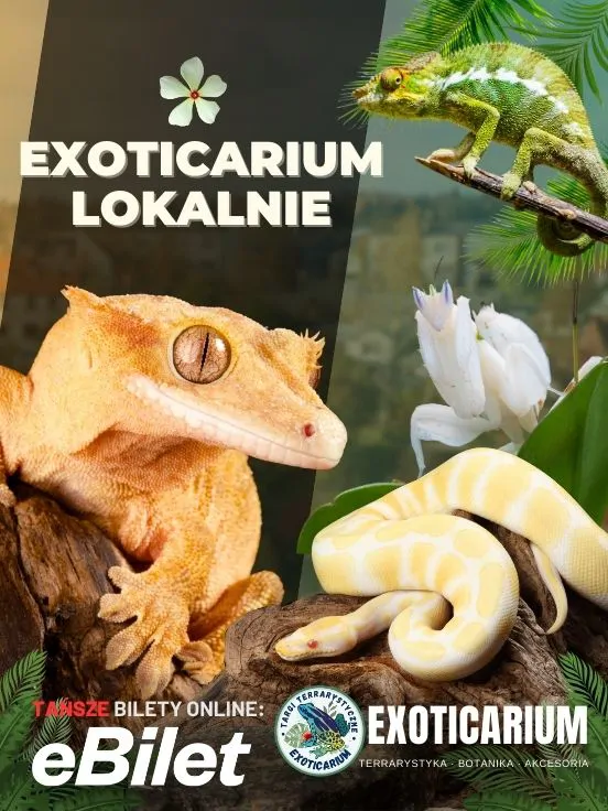 Exoticarium Lokalnie - Targi Terrarystyczne