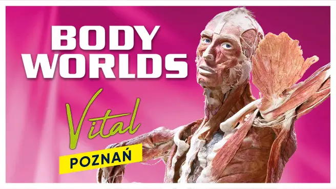 Body Worlds – Vital - Poznań