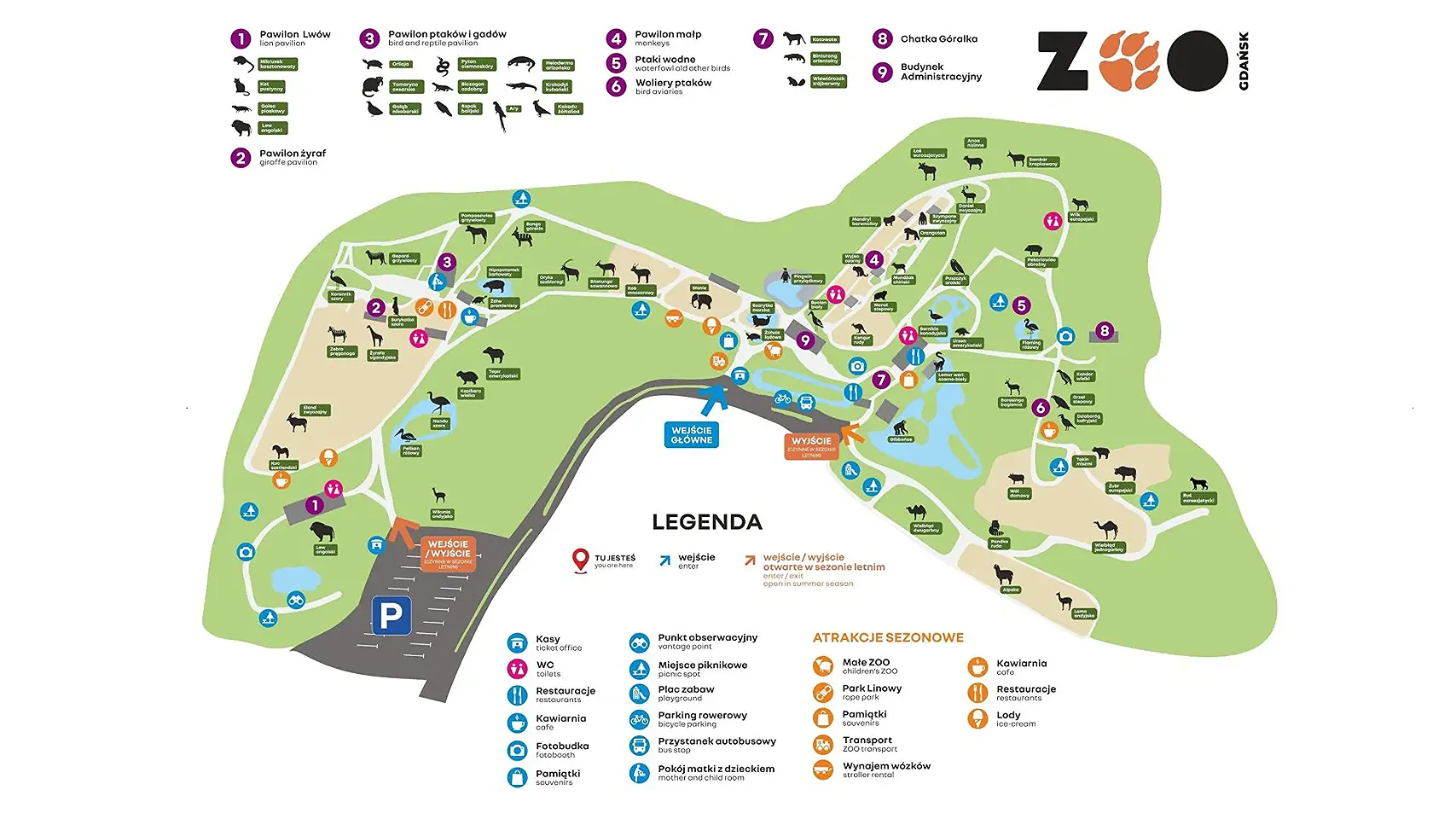 galeria: zdjęcie 1