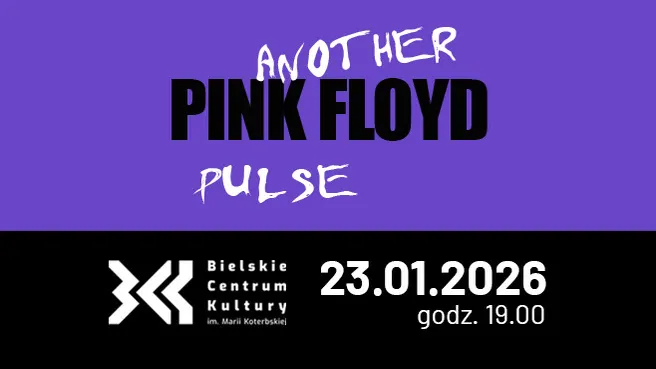 Another Pink FLoyd - The Pulse
