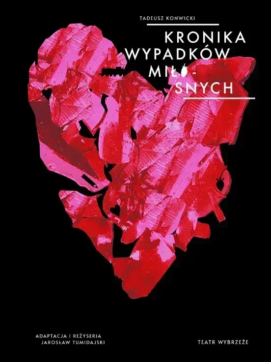 Kronika wypadków miłosnych
