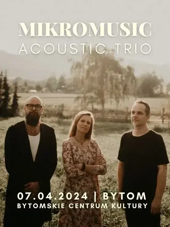 Mikromusic Acoustic Trio