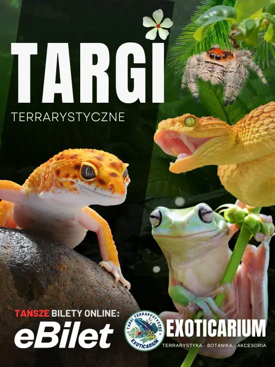 Plakat wydarzenia