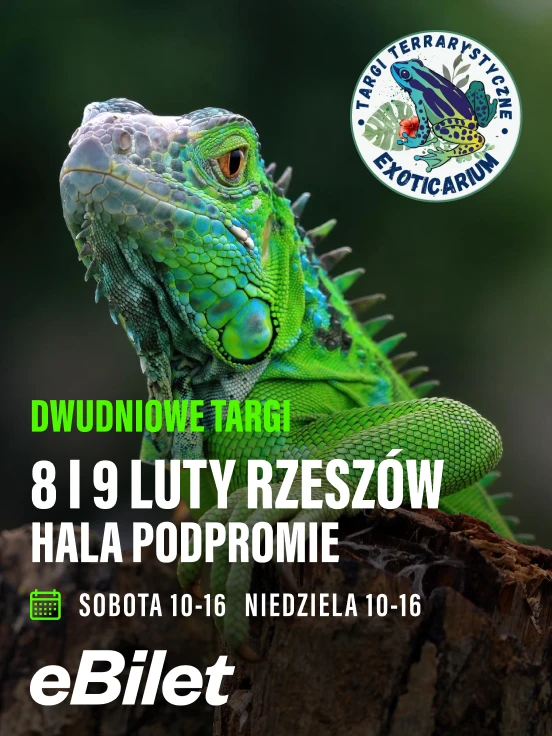 Plakat wydarzenia