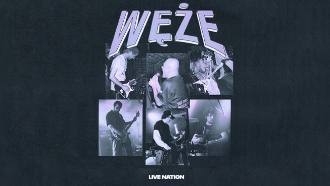 Węże