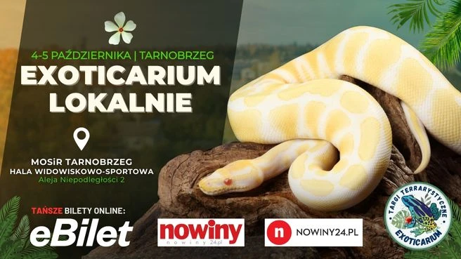 EXOTICARIUM LOKALNIE – TARGI TERRARYSTYCZNE! bilety dwudniowe ZAMOŚĆ