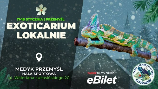 EXOTICARIUM LOKALNIE – TARGI TERRARYSTYCZNE! karnetyTarnobrzeg