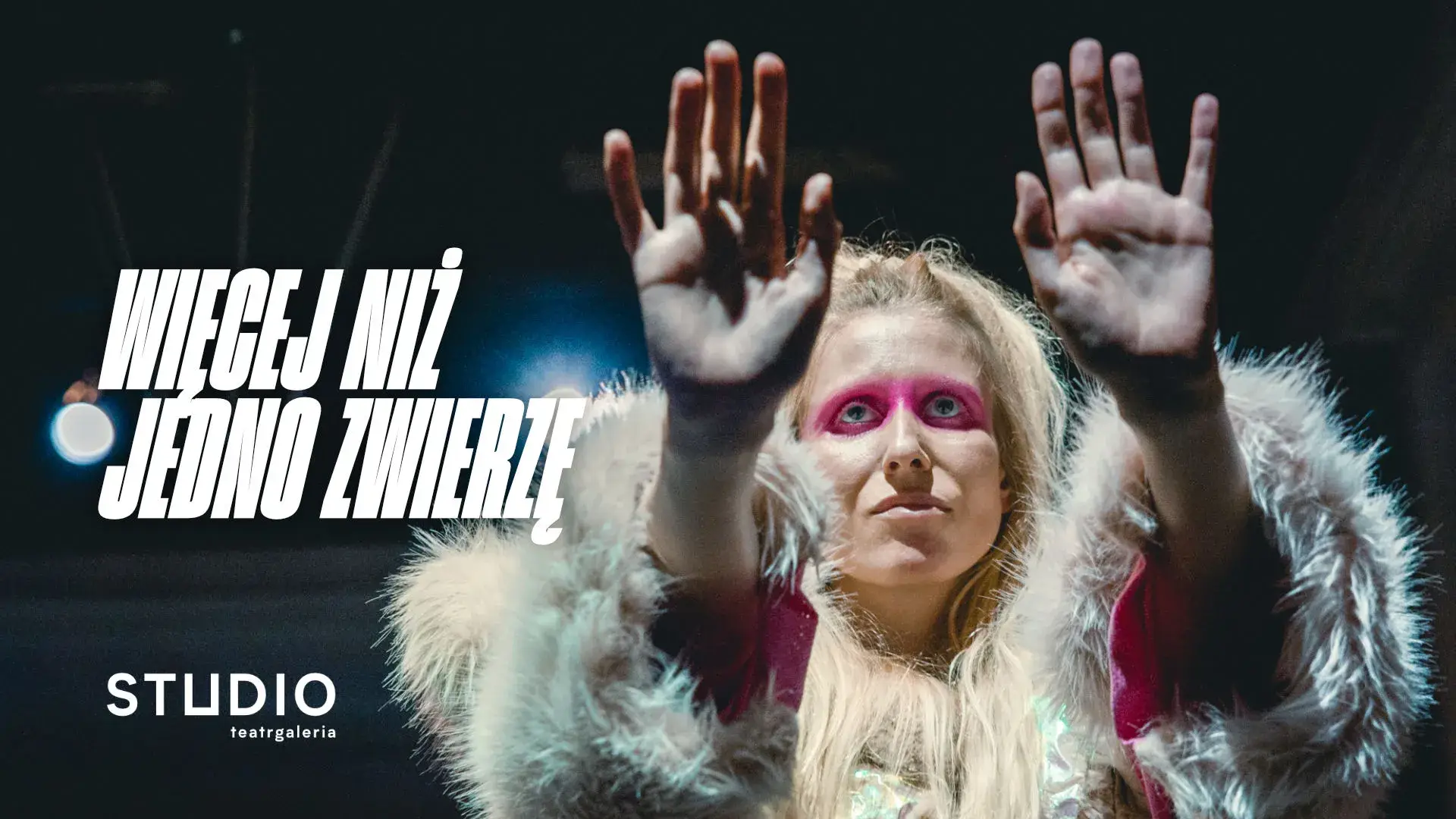 WIĘCEJ NIŻ JEDNO ZWIERZĘ - galeria: zdjęcie 1