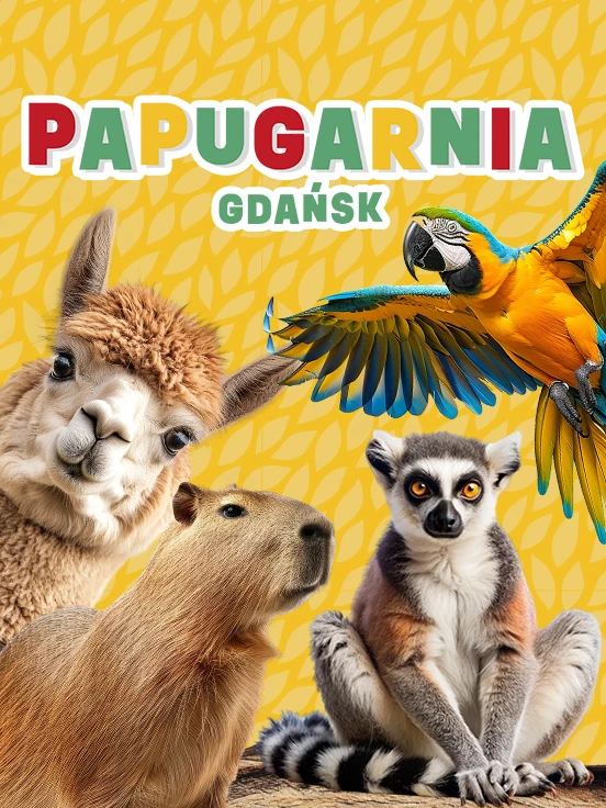 Papugarnia w Gdasku