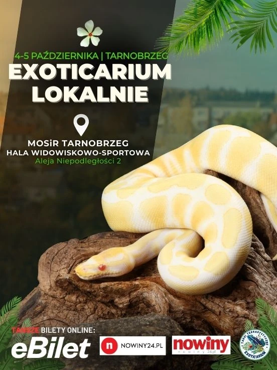 Exoticarium Lokalnie - Targi Terrarystyczne