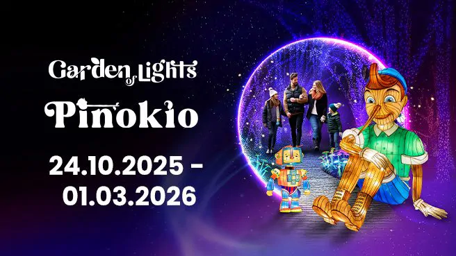 Garden of Lights / Ogrody Świateł - Pinokio