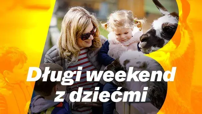 ZOO, Dmuchańce i inne atrakcje