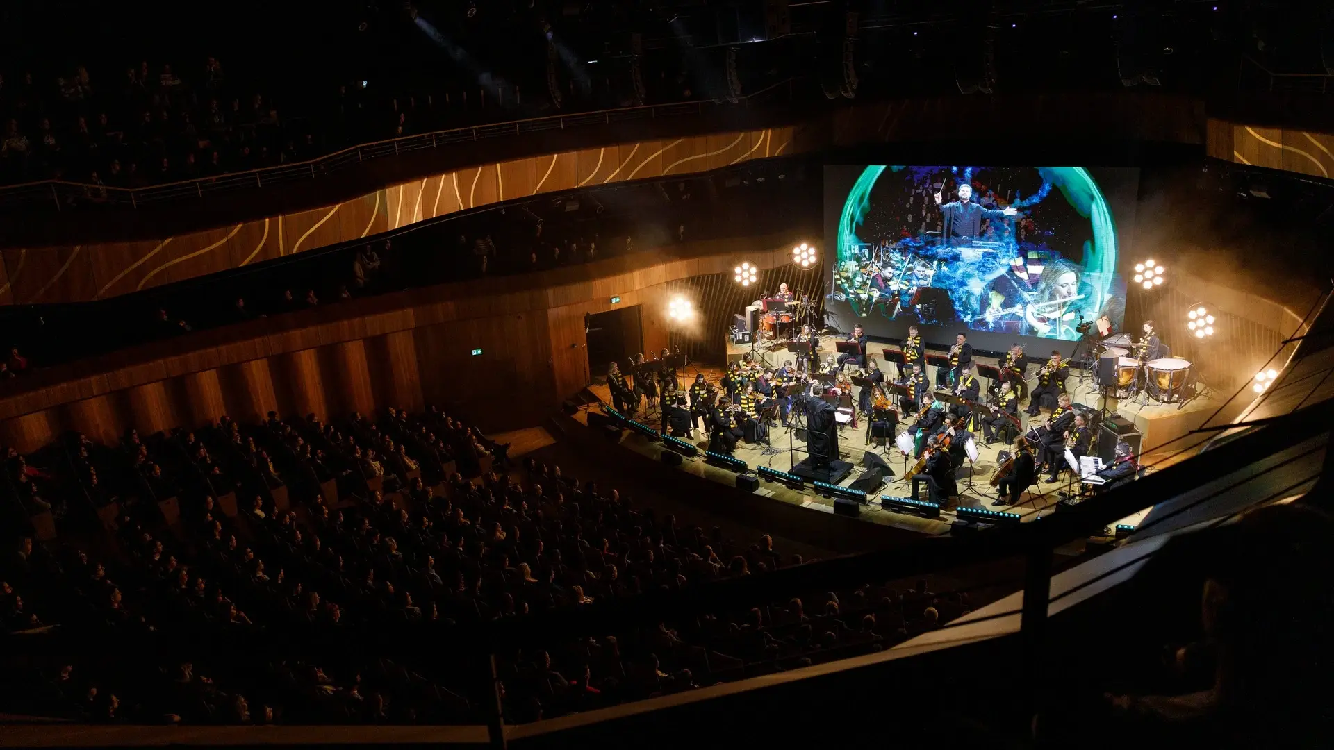 Koncert Muzyka Filmowa Harry Potter Symfonicznie orchestral tribute - galeria: zdjęcie 1