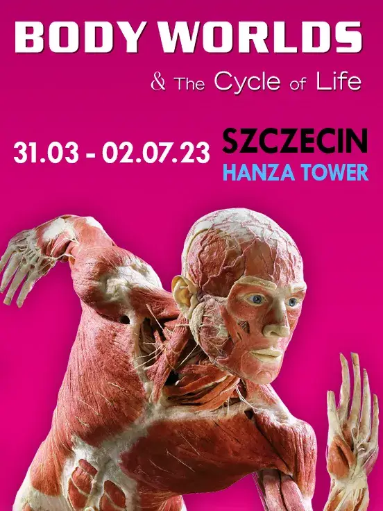 BODY WORLDS Szczecin