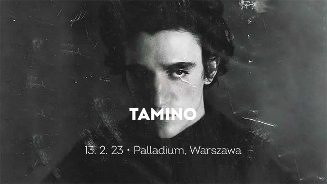 Tamino