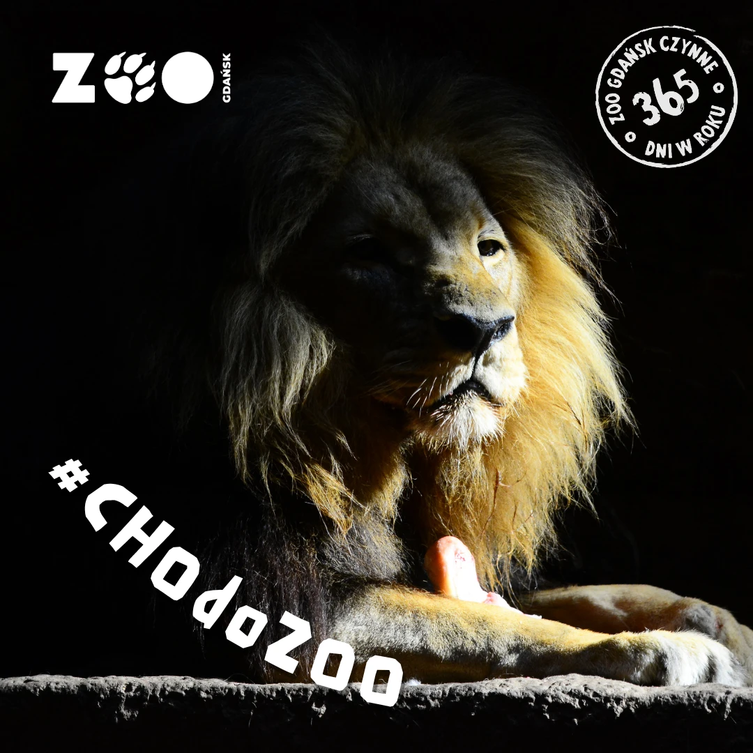Visit Gdańsk Zoo