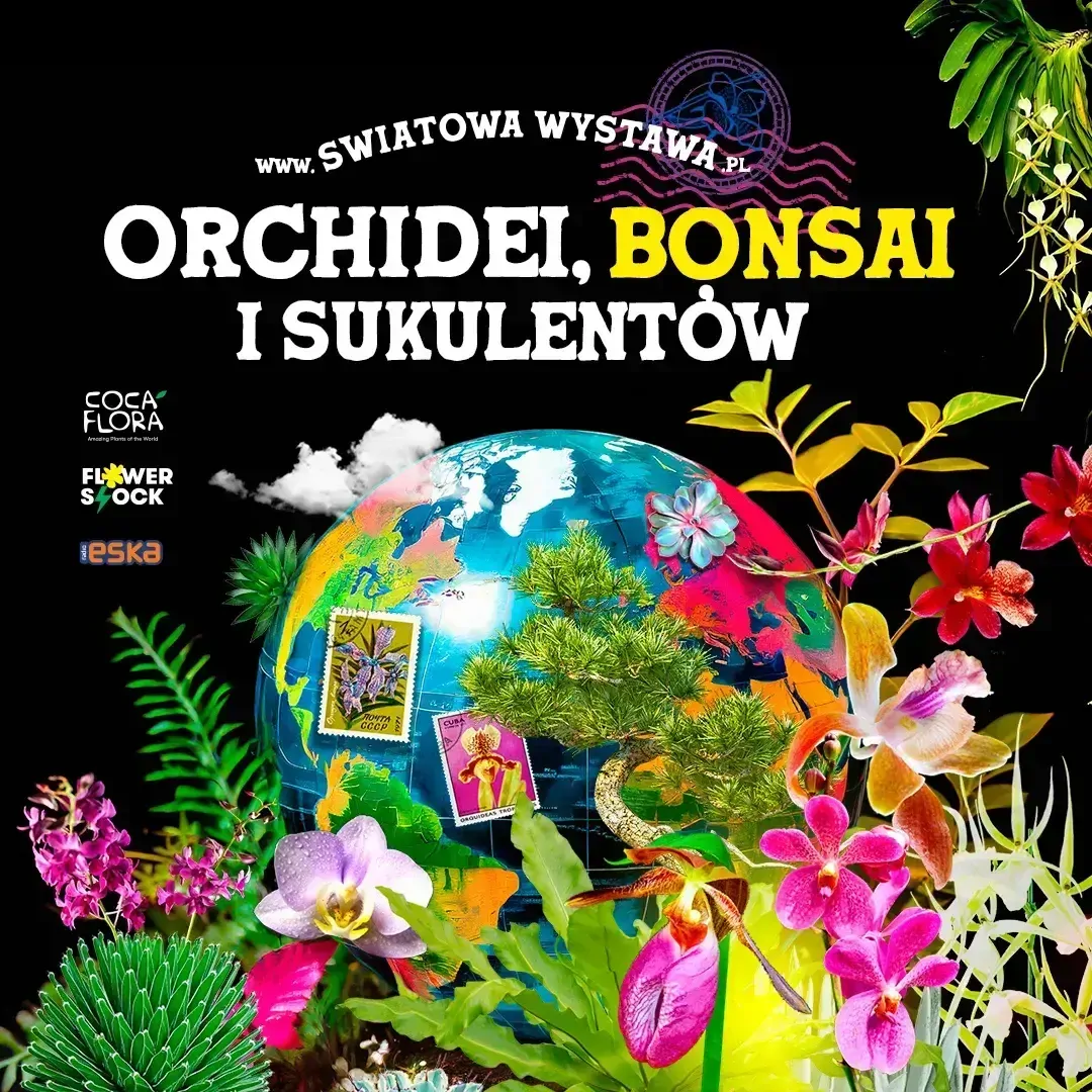Międzynarodowa Wystawa Orchidei Bonsai I Sukulentów Katowice