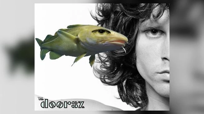 Tribute to The Doors - The Doorsz