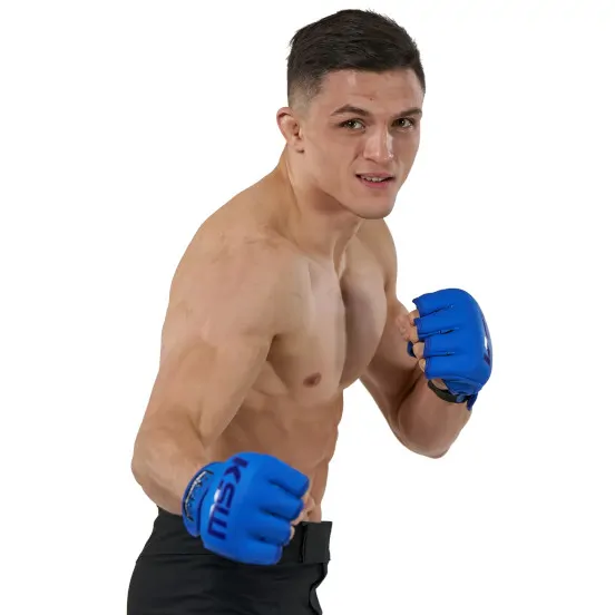 Michał Domin Michał Domin