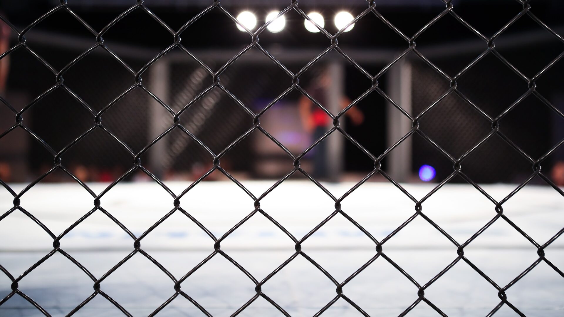 MMA a polskie tradycje sportowe. Jak wpisuje się w historię naszego sportu?