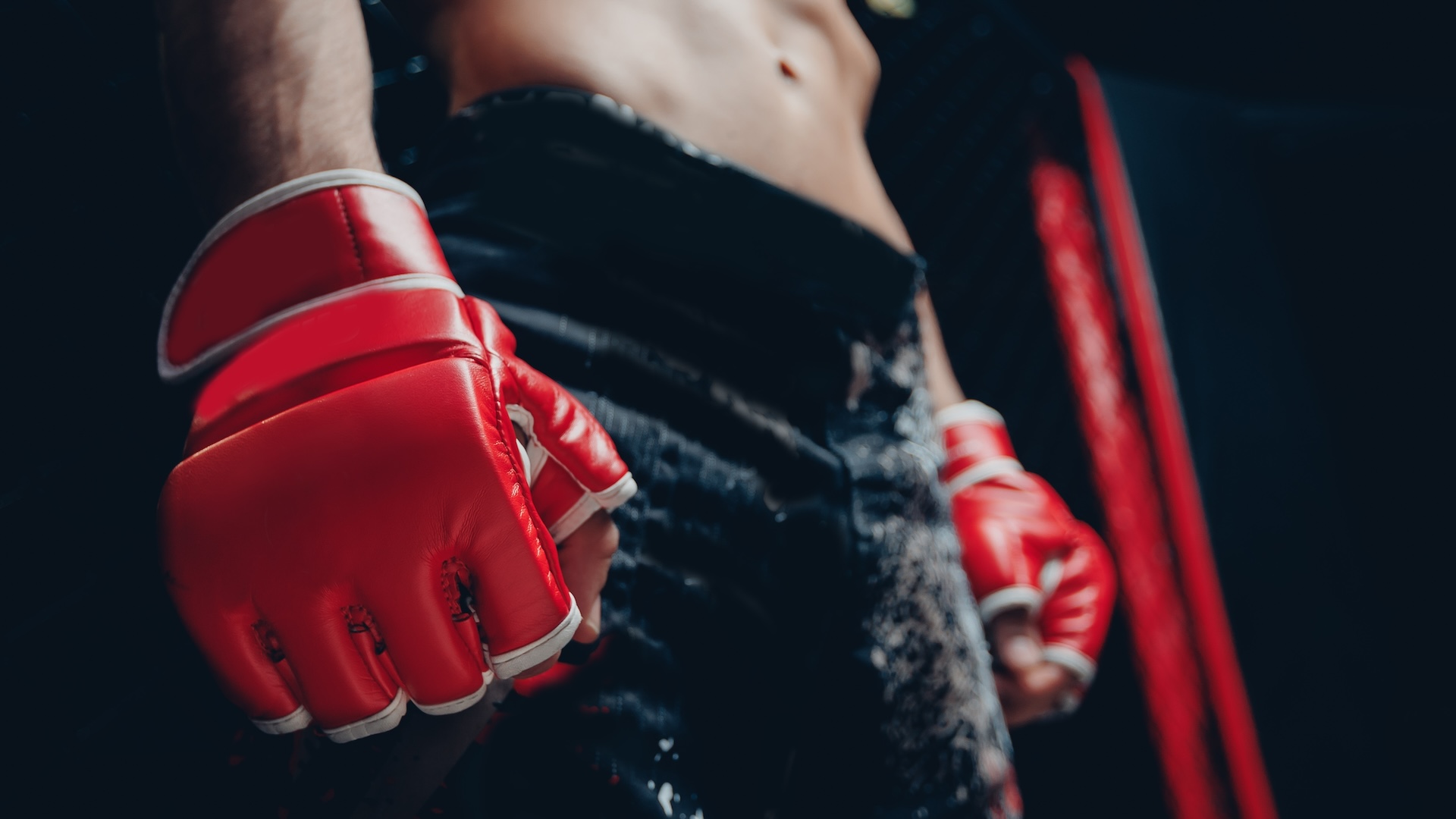 Rozwój sprzętu w MMA. Jak technologia wpływa na wydajność zawodników?